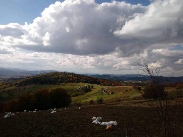 Golo Brdo Javor Nova Varoš